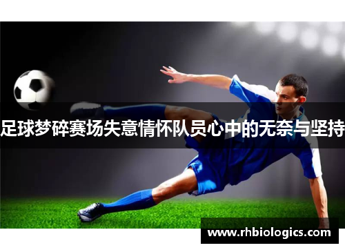 足球梦碎赛场失意情怀队员心中的无奈与坚持